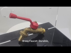 Σφουγγαρίστρες για πλυντήρια Σφουγγαρίστρες για λεκάνες